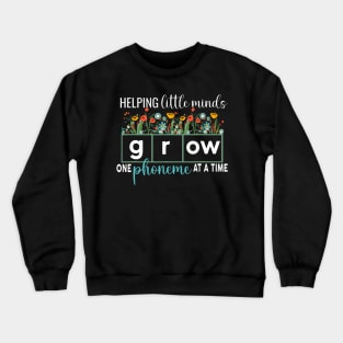 Science of Reading Helping A Little Minds Grow Phonics Crewneck Sweatshirt